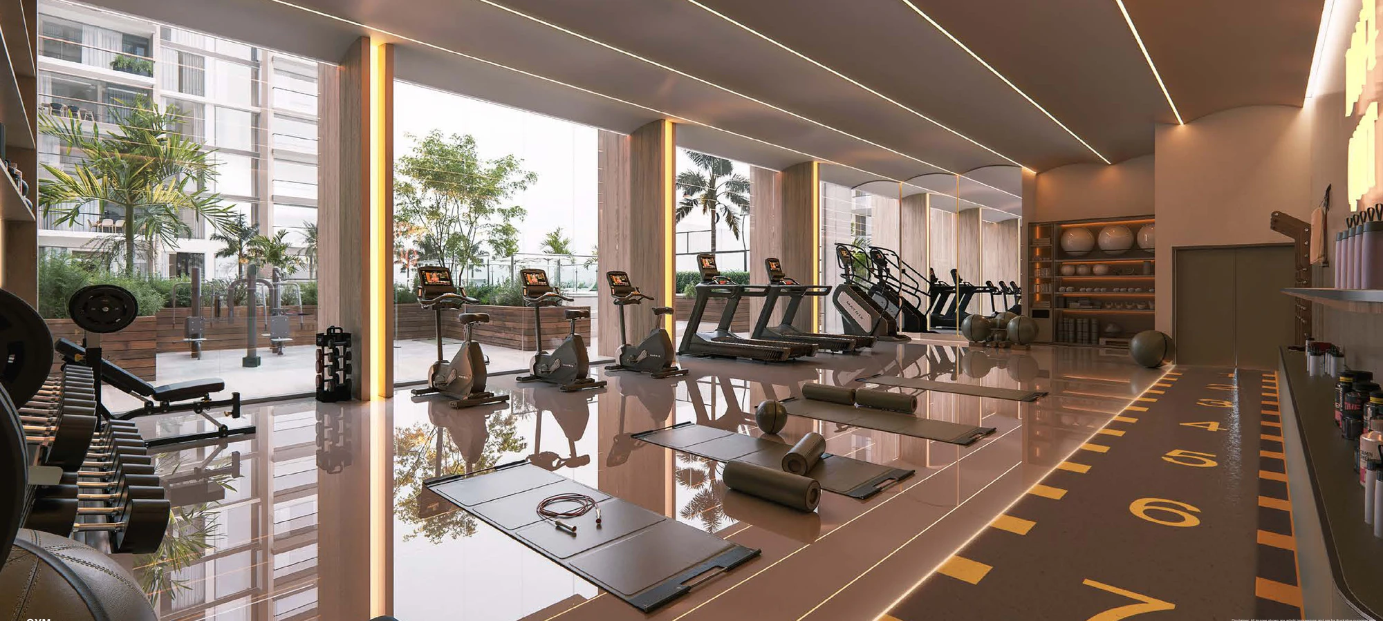 The gym
